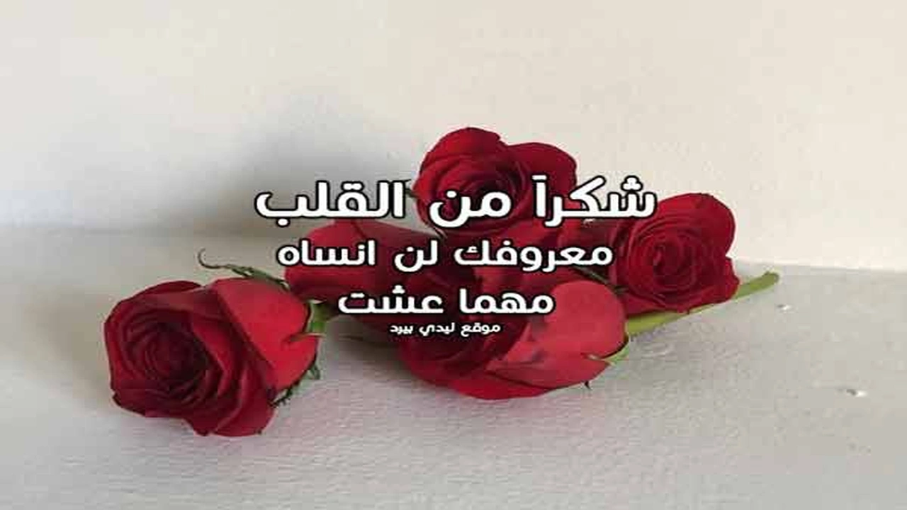 صورة رسالة مدح وشكر