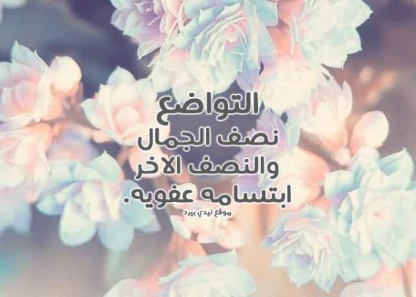 رسالة مدح
