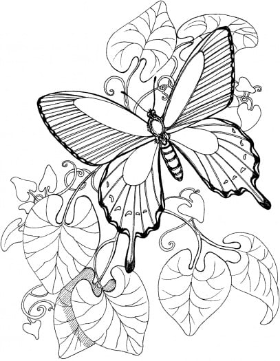 رسومات تلوين اطفال