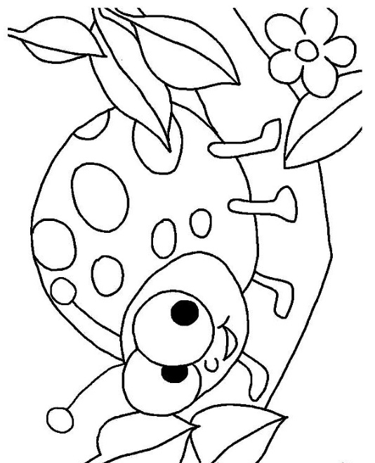 رسومات تلوين الدعسوقة