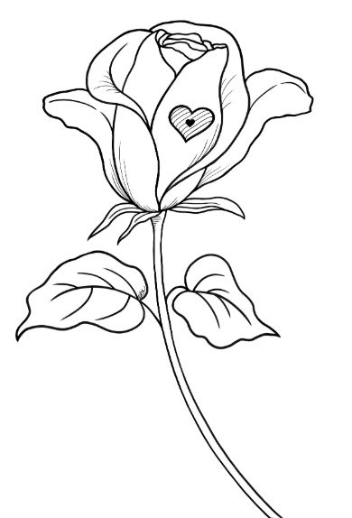 رسومات تلوين بنات كبار