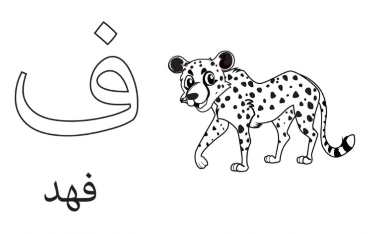 رسومات تلوين حروف الهجاء العربية