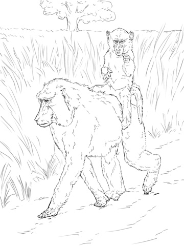 رسومات تلوين حيوانات للاطفال