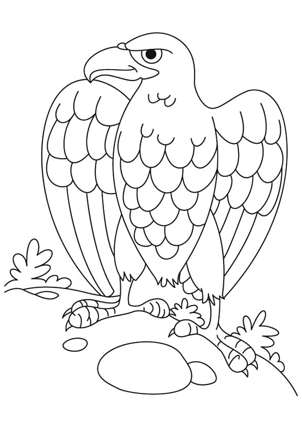 رسومات تلوين حيوانات للاطفال
