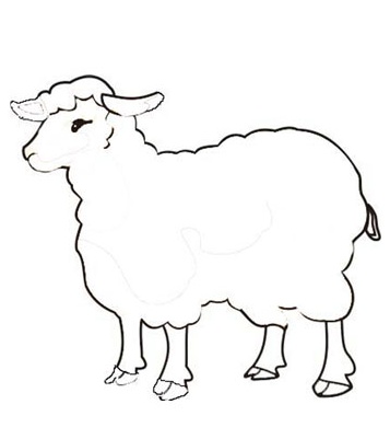 رسومات تلوين خروف العيد