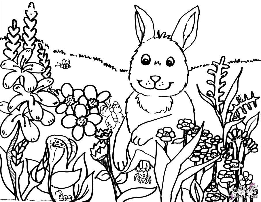 رسومات تلوين طبيعة