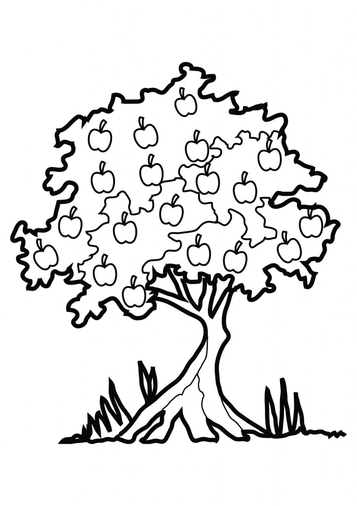 رسومات تلوين نباتات
