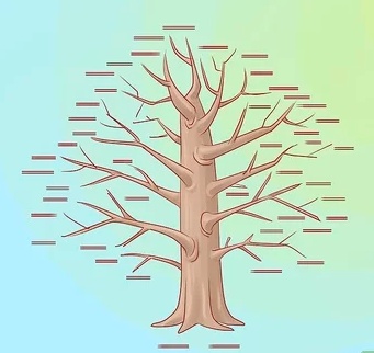 رسومات تلوين نباتات