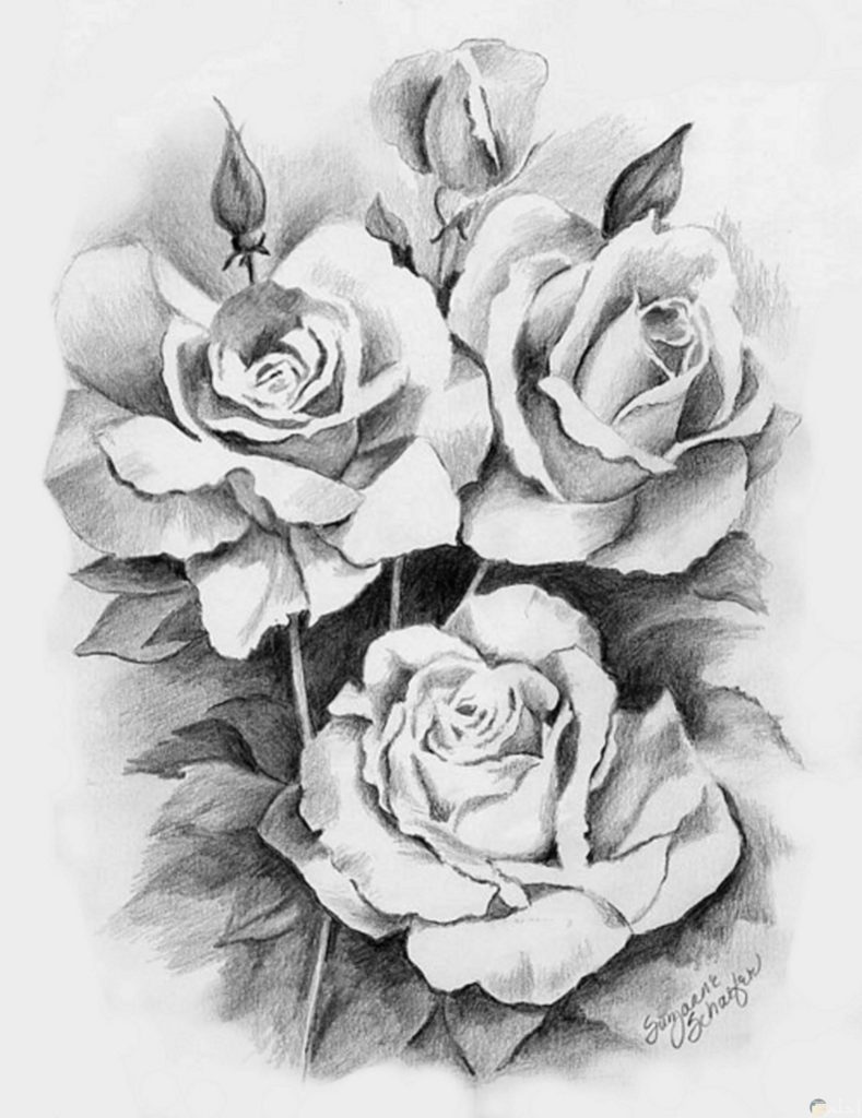 رسومات تلوين ورود