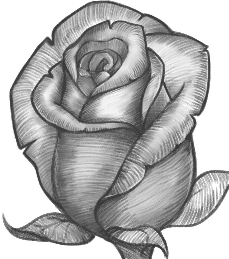 رسومات تلوين ورود