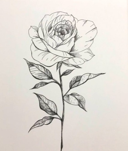 رسومات تلوين ورود