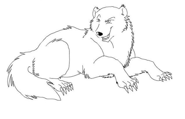 رسومات حيوانات للاطفال ملونة