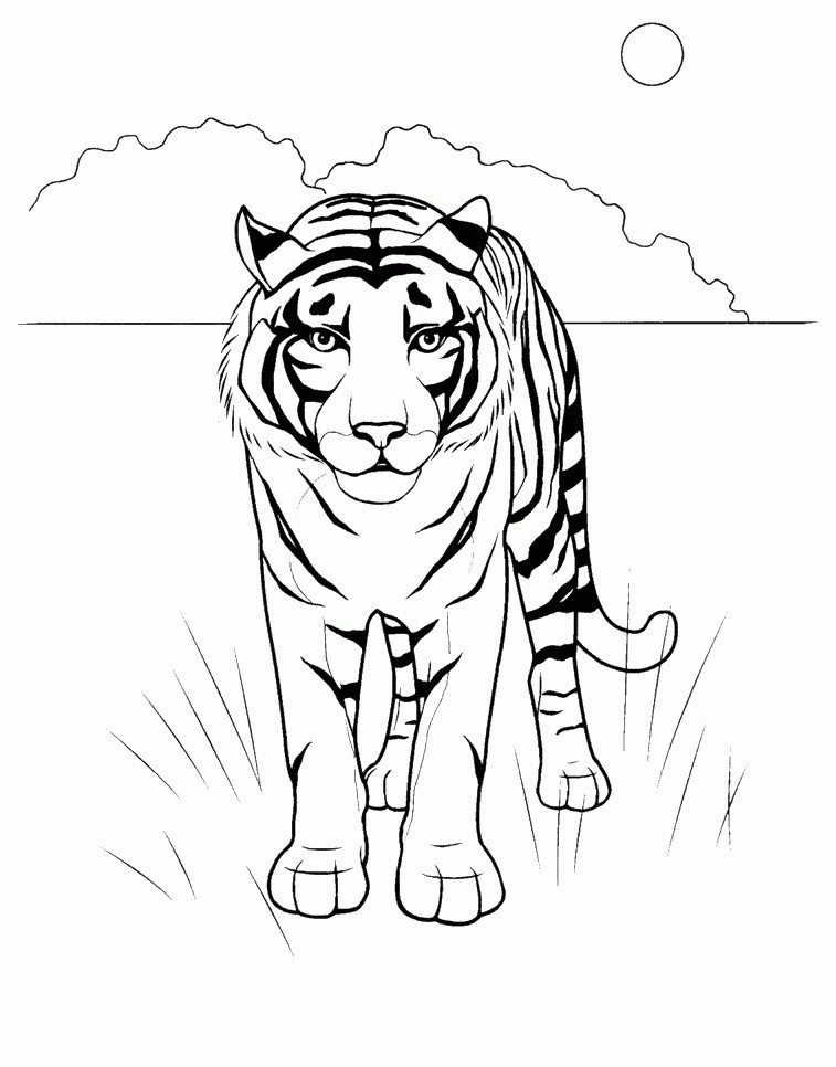 رسومات حيوانات للاطفال ملونة