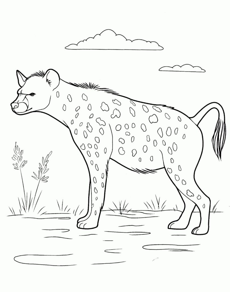 رسومات حيوانات للاطفال ملونة