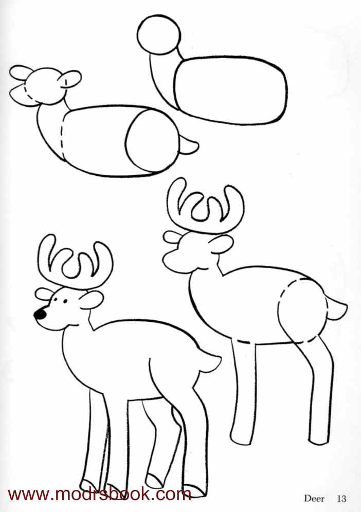 رسومات غراب للتلوين