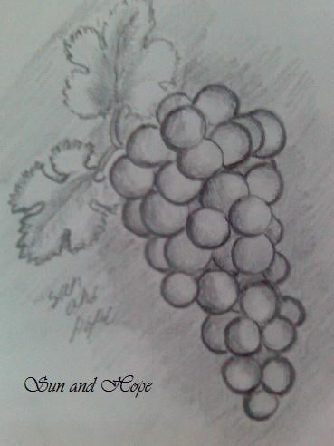 رسومات غراب للتلوين