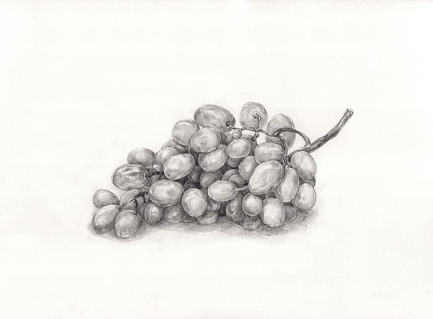 رسومات غراب للتلوين