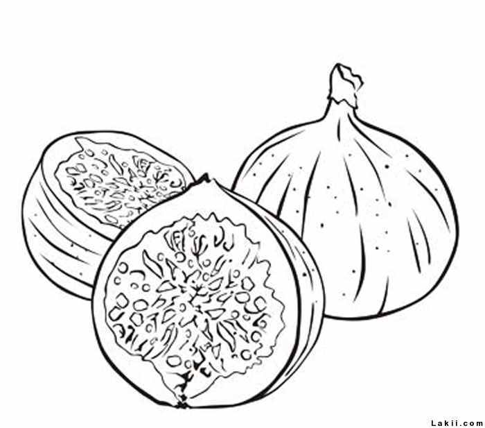 رسومات غلال للتلوين