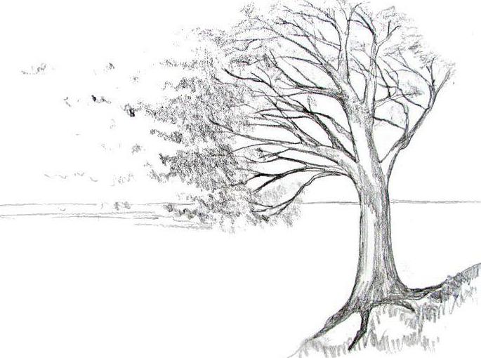 رسومات للتلوين عن فصل الخريف
