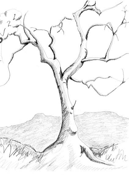 رسومات للتلوين عن فصل الخريف
