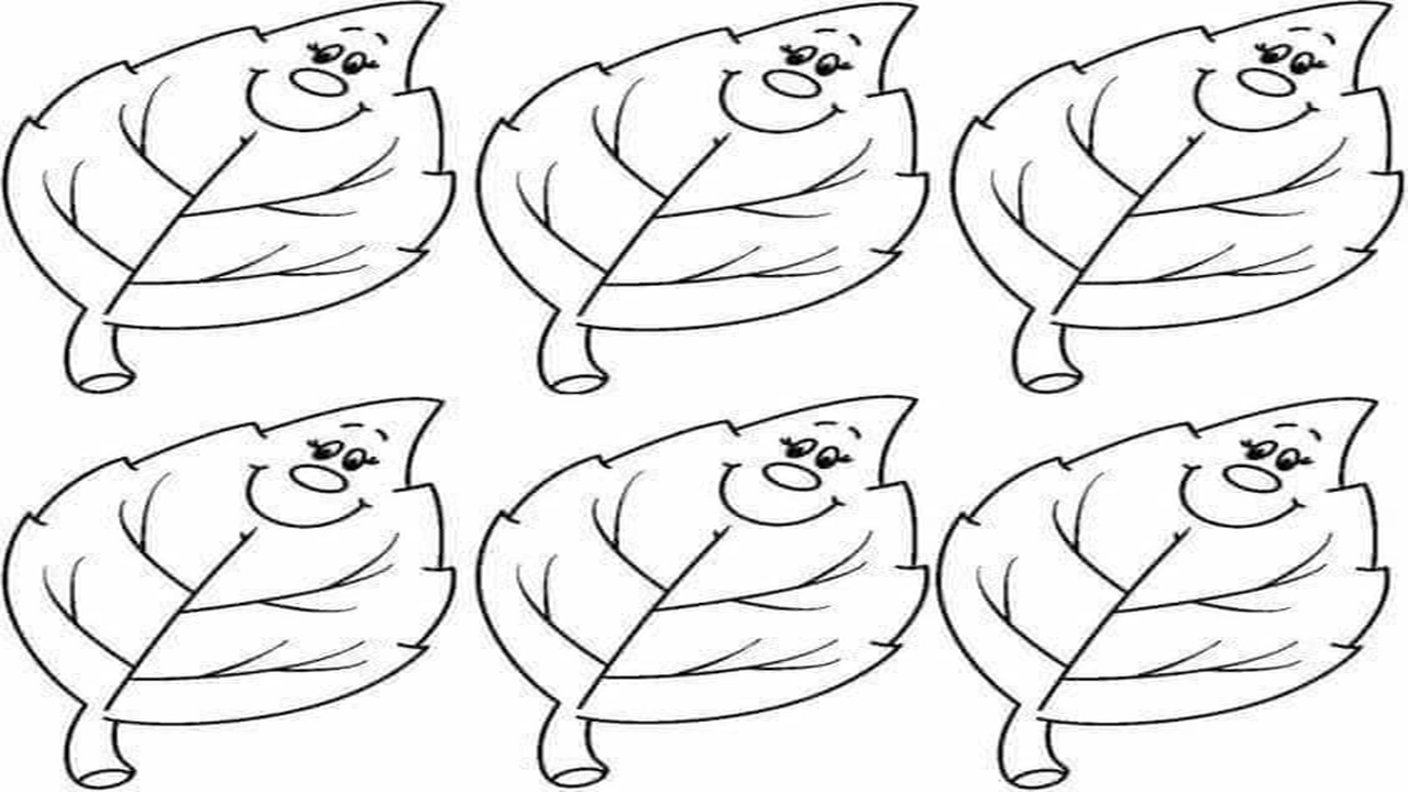 صورة رسومات للتلوين عن فصل الخريف