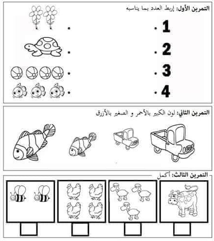 رسومات للتلوين قسم تحضيري
