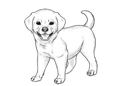 رسومات للتلوين كلاب