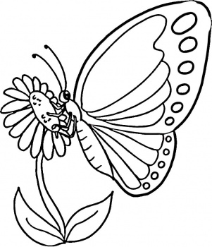 رسومات للتلوين كلاب