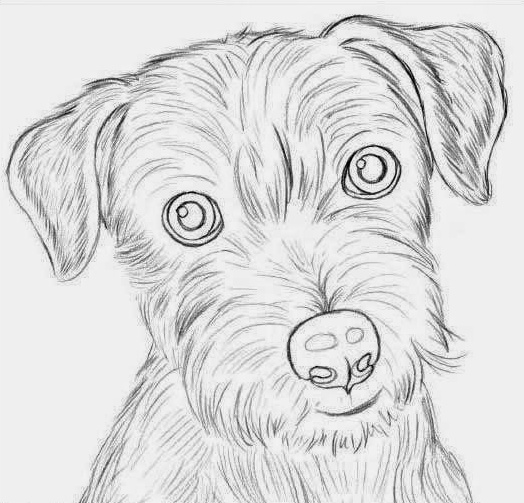 رسومات للتلوين كلاب
