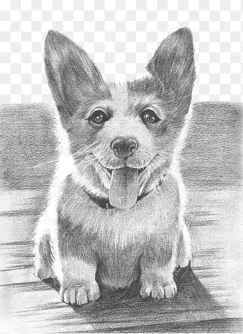 رسومات للتلوين كلاب