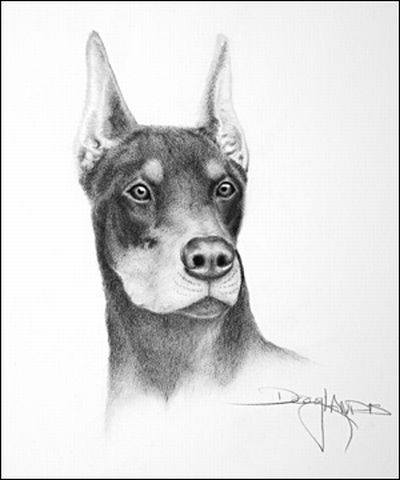 رسومات للتلوين كلاب