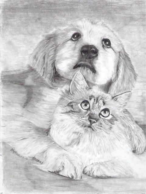 رسومات للتلوين كلاب