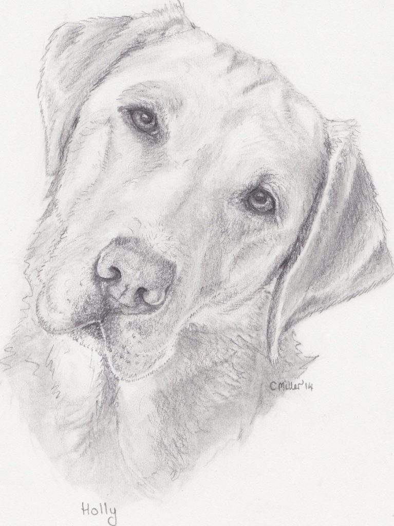 رسومات للتلوين كلاب