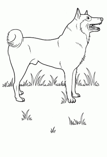 رسومات للتلوين كلاب