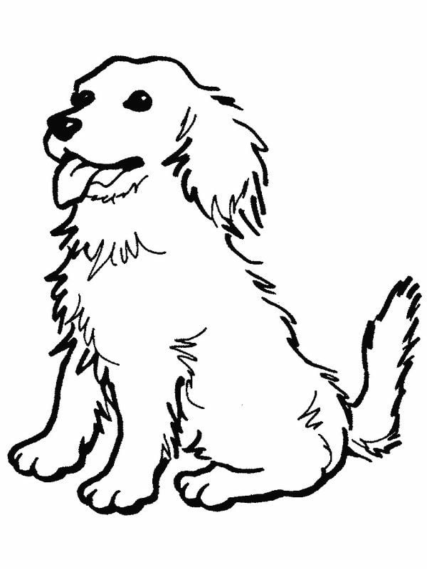 رسومات للتلوين كلاب