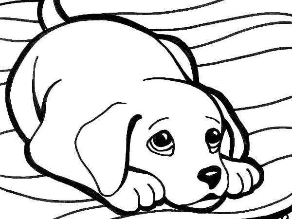 رسومات للتلوين كيوت