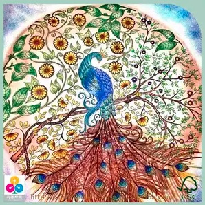 رسومات للتلوين مانديلا