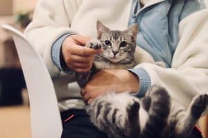 رقم طبيب بيطري في الكويت