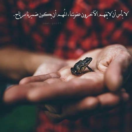 رمزيات انستا