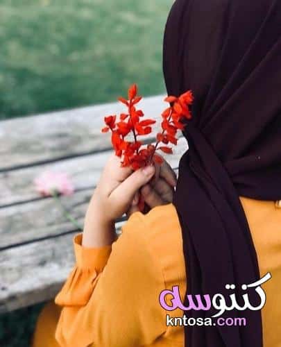 رمزيات انستقرام