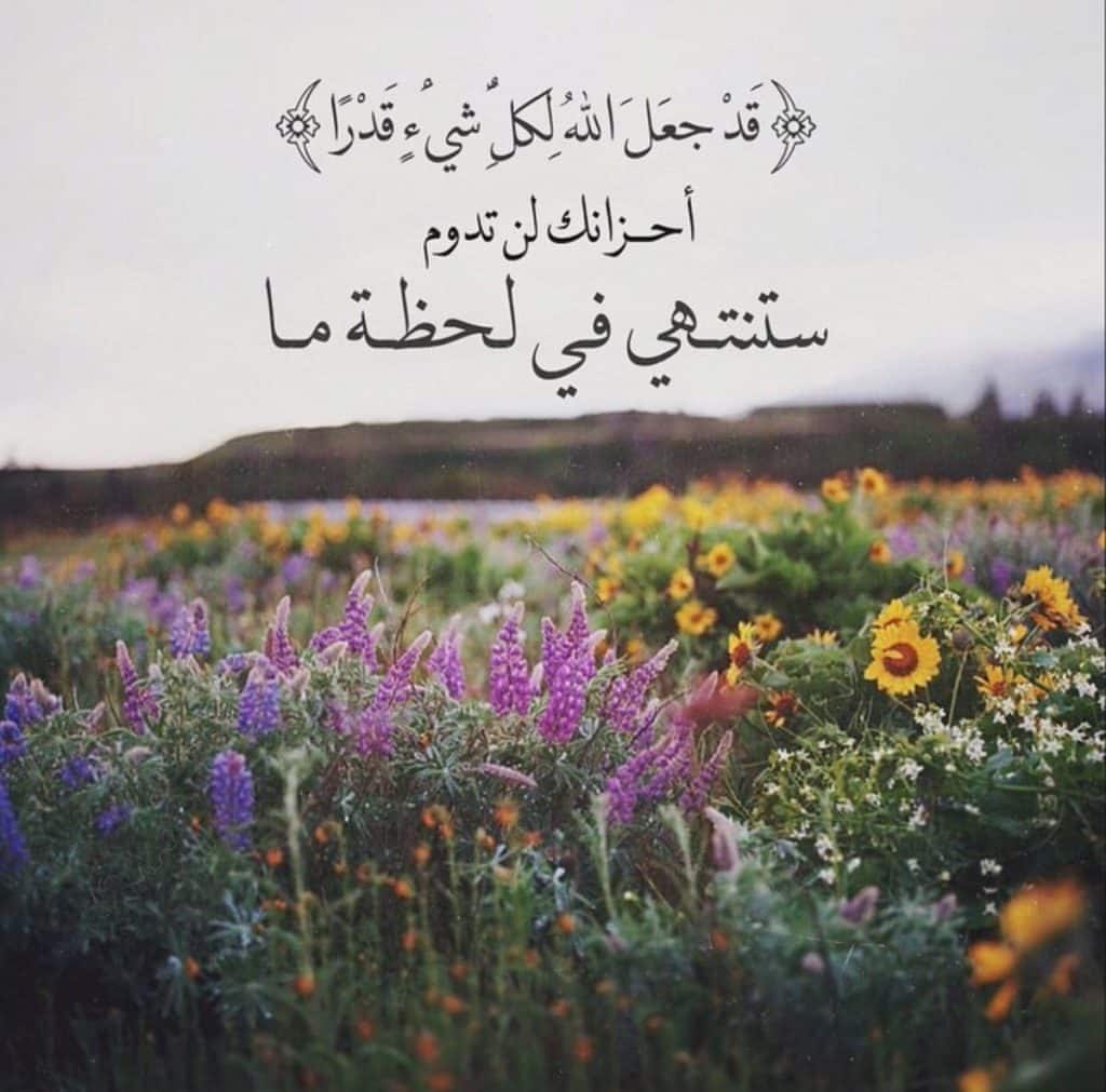 رمزيات انستقرام