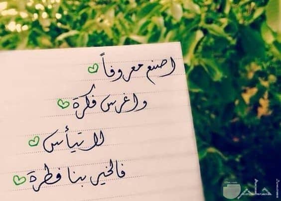 رمزيات جميلة