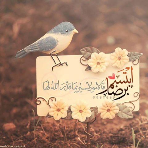 رمزيات جميلة