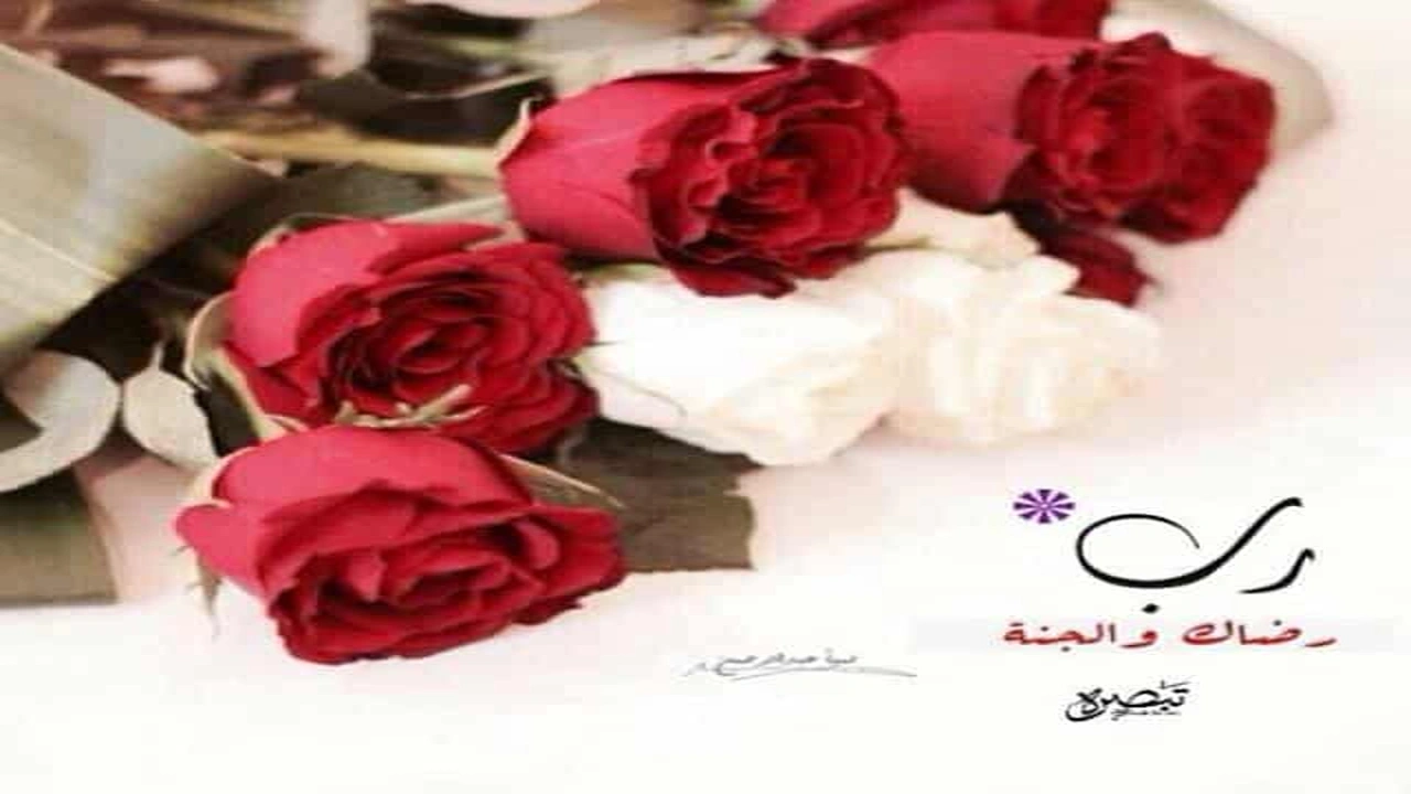 صورة رمزيات جميلة