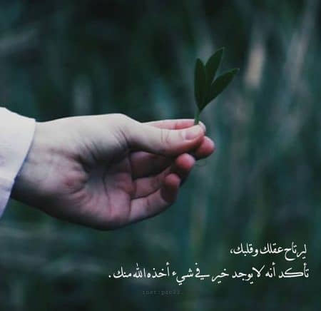 رمزيات خليجية انستقرام