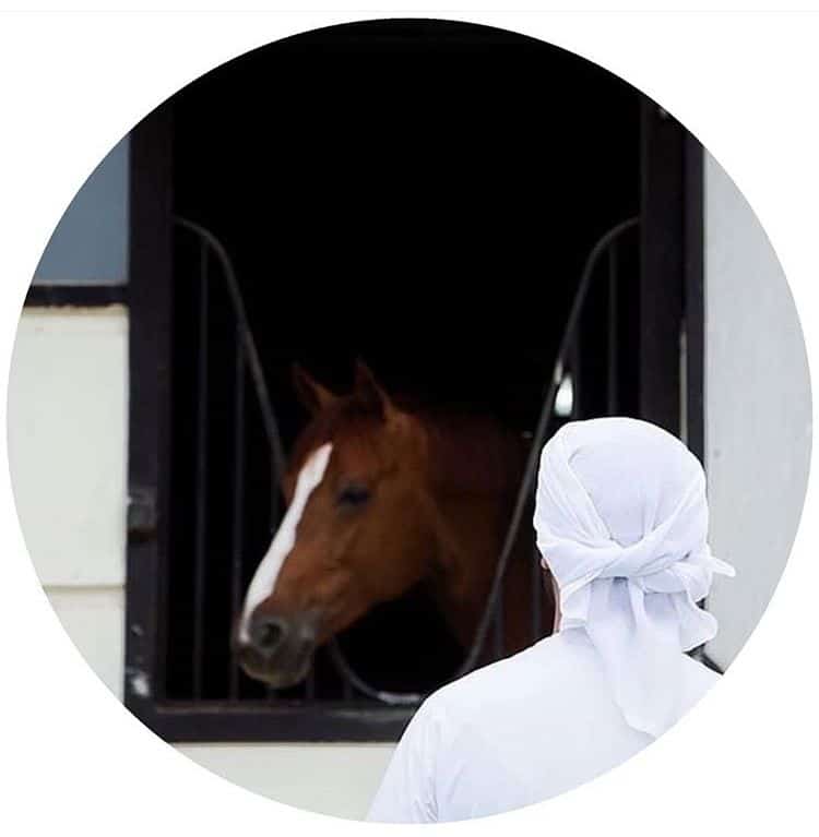 رمزيات خيول وشباب