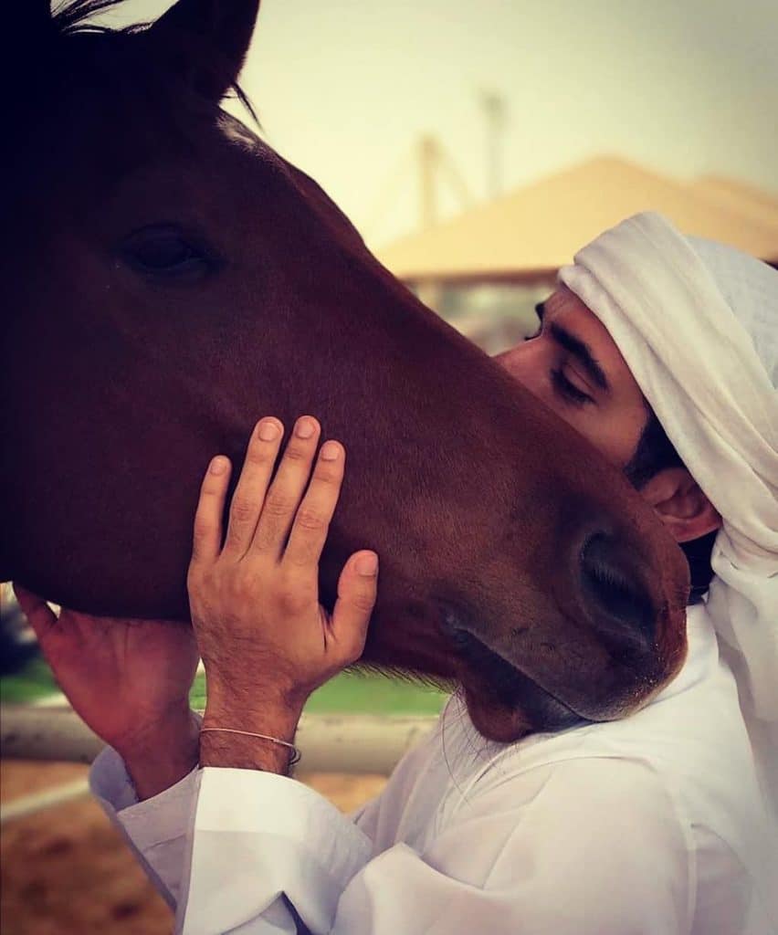 رمزيات خيول وشباب
