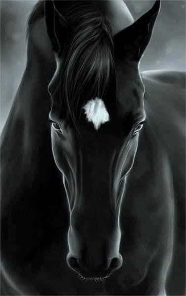 رمزيات خيول