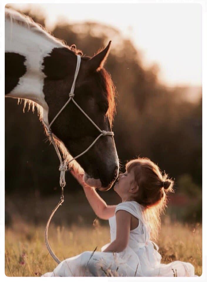 رمزيات خيول