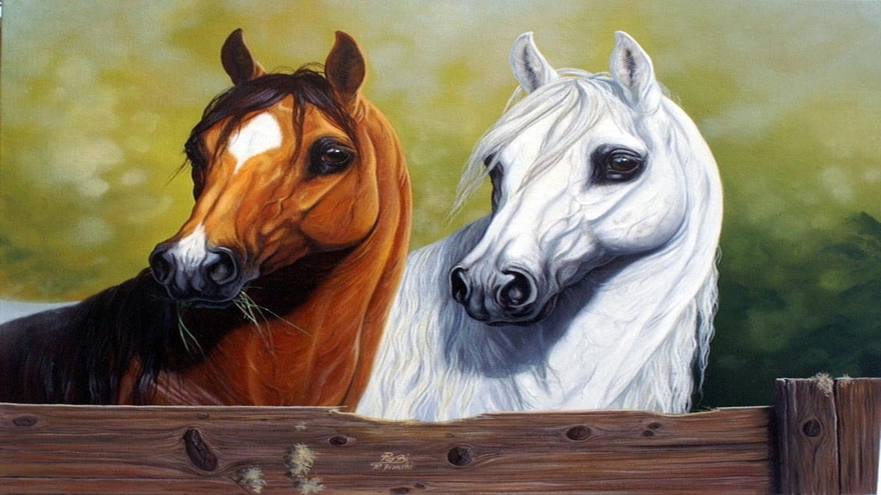 صورة رمزيات خيول